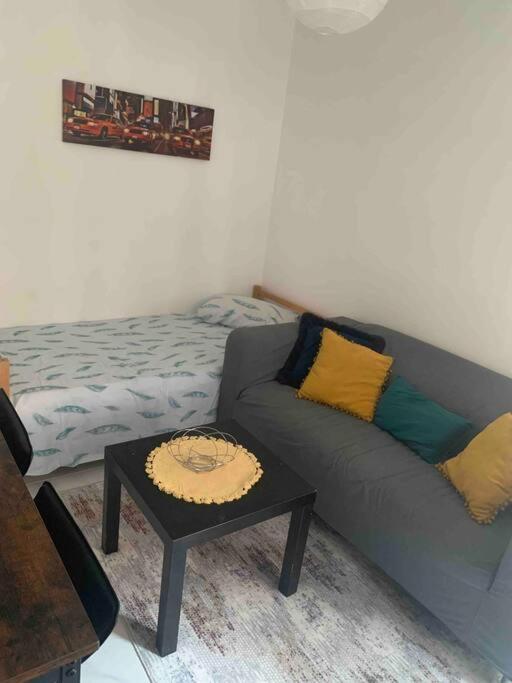 Dijon: Superbe Appartement En Hyper Centre מראה חיצוני תמונה